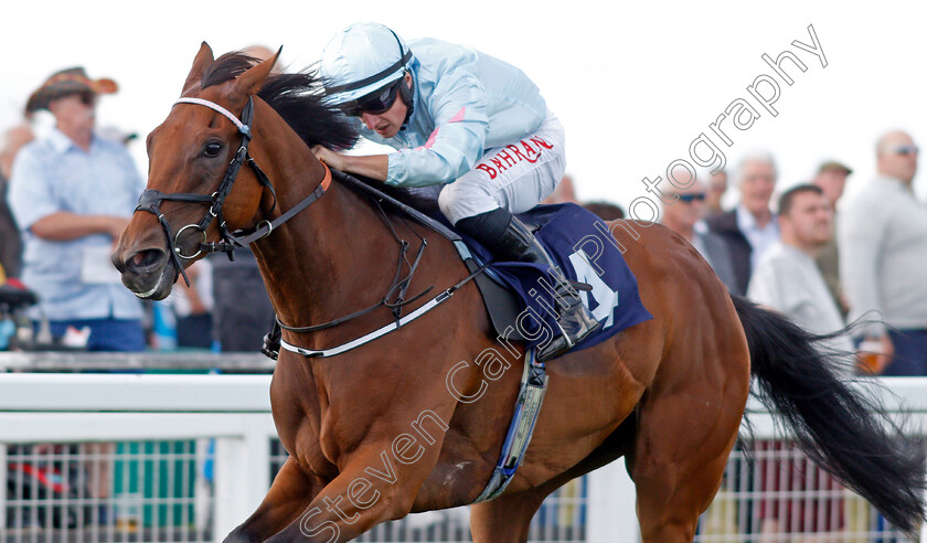 Visala-0003 
 VISALA (Tom Marquand) wins The Seadeer Handicap
Yarmouth 15 Sep 2021 - Pic Steven Cargill / Racingfotos.com