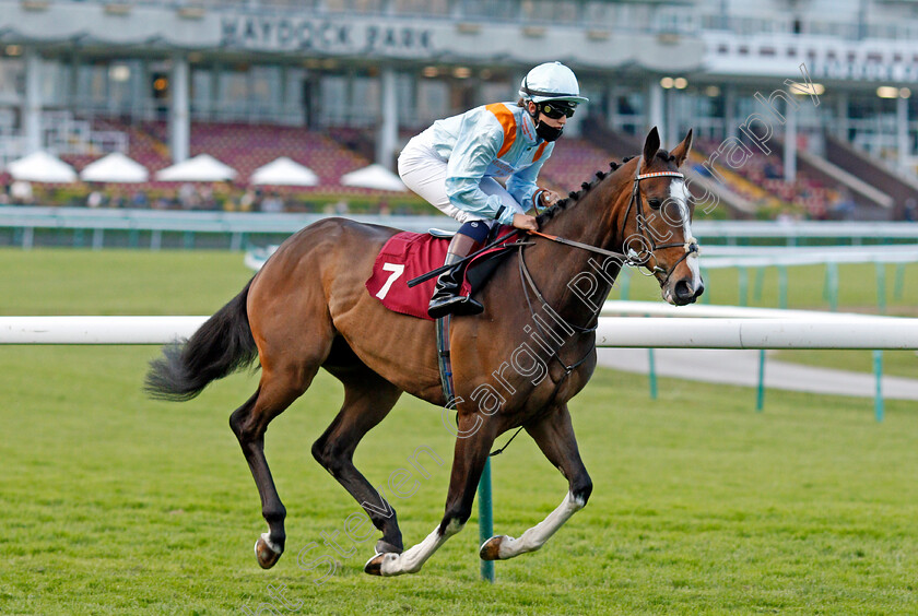 Carpentier-0002 
 CARPENTIER (Morgan Cole)
Haydock 28 May 2021 - Pic Steven Cargill / Racingfotos.com