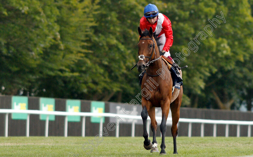 Veracious-0001 
 VERACIOUS (Oisin Murphy) before The Tattersalls Falmouth Stakes
Newmarket 12 Jul 2019 - Pic Steven Cargill / Racingfotos.com