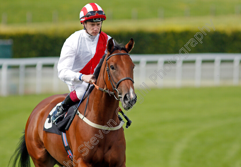 Stylish-Icon-0001 
 STYLISH ICON (Oisin Murphy)
Goodwood 28 Aug 2021 - Pic Steven Cargill / Racingfotos.com