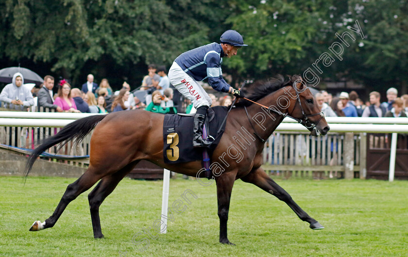 Dark-Trooper-0001 
 DARK TROOPER (Tom Marquand)
Newmarket 30 Jun 2023 - Pic Steven Cargill / Racingfotos.com