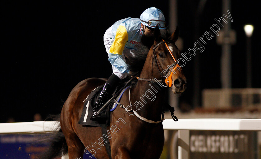 Balkhash-0002 
 BALKHASH (Hector Crouch) Chelmsford 23 Nov 2017 - Pic Steven Cargill / Racingfotos.com