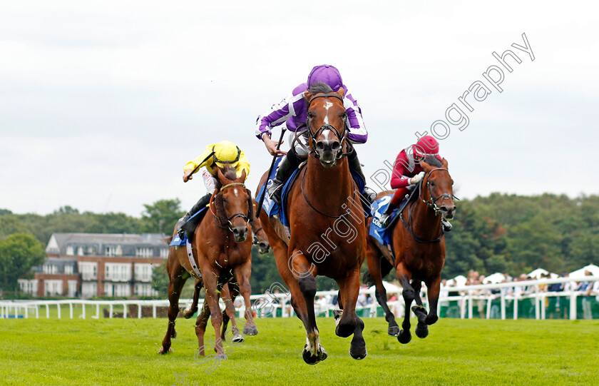 St-Mark s-Basilica-0007 
 ST MARK'S BASILICA (Ryan Moore) beats ADDEYBB (left) and MISHRIFF (right) in The Coral Eclipse Stakes
Sandown 3 Jul 2021 - Pic Steven Cargill / Racingfotos.com