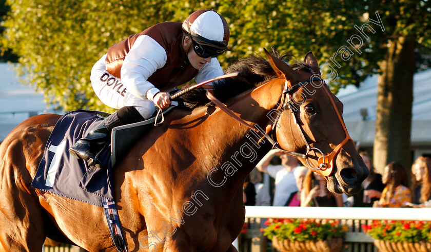 Flying-North-0005 
 FLYING NORTH (Hollie Doyle) wins The Fly London Southend Airport To Budapest British EBF Fillies Handicap
Newmarket 10 Aug 2018 - Pic Steven Cargill / Racingfotos.com