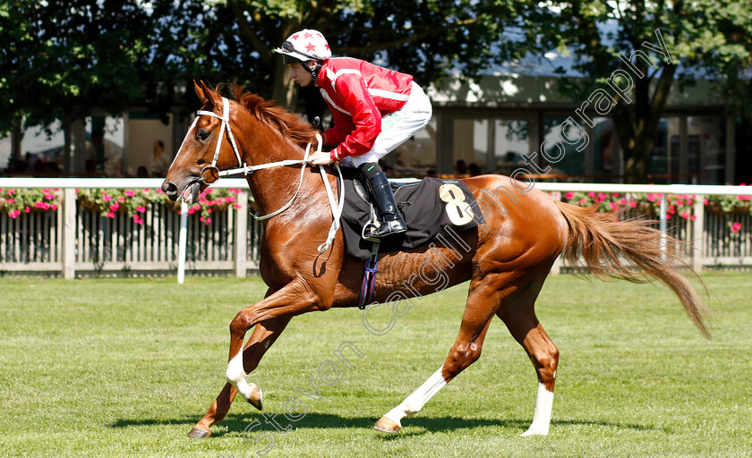 Sea-Battle-0001 
 SEA BATTLE (Luke Morris)
Newmarket 27 Jun 2019 - Pic Steven Cargill / Racingfotos.com