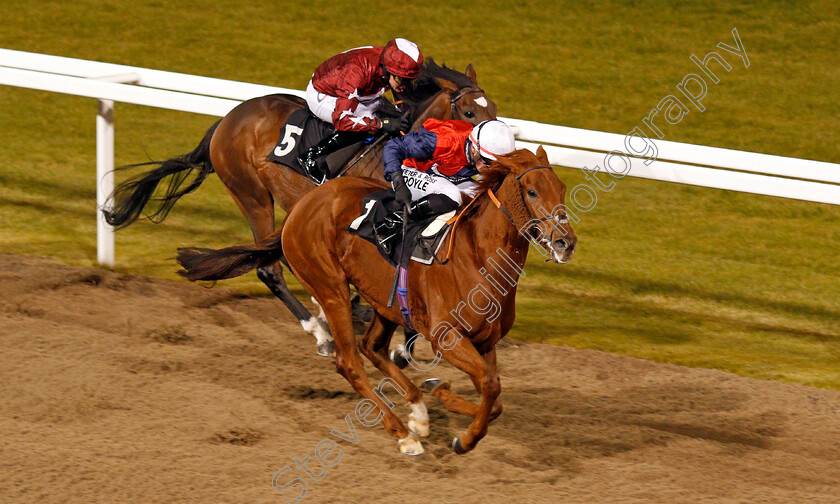 Zalshah-0003 
 ZALSHAH (Tom Marquand) beats DANCE EMPEROR (left) in The Bet toteJackpot At betfred.com Nursery Chelmsford 1 Dec 2017 - Pic Steven Cargill / Racingfotos.com