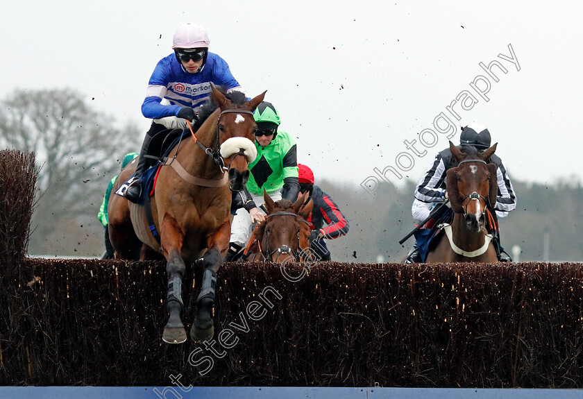 Solo-0003 
 SOLO (Harry Cobden)
Ascot 21 Dec 2024 - Pic Steven Cargill / Racingfotos.com