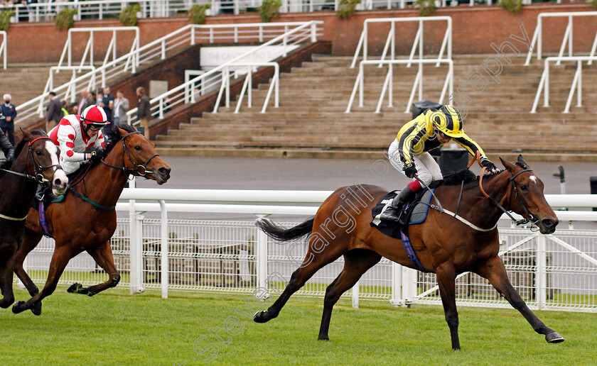 Four-Adaay-0002 
 FOUR ADAAY (Oisin Murphy) wins The Back To Goodwood Handicap
Goodwood 21 May 2021 - Pic Steven Cargill / Racingfotos.com