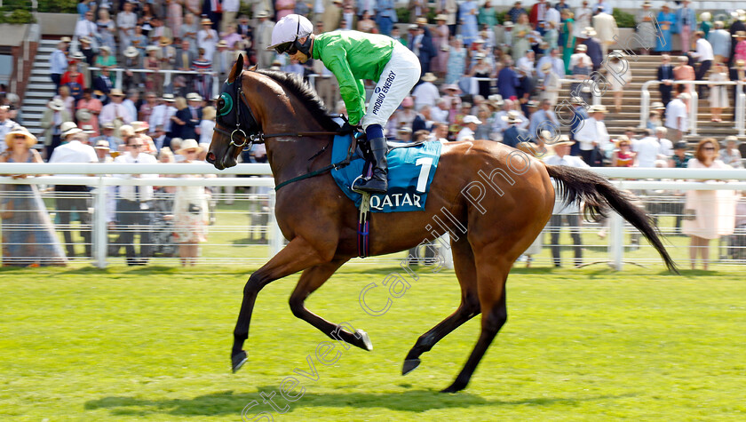 Breege-0001 
 BREEGE (Jason Hart)
Goodwood 31 Jul 2024 - Pic Steven Cargill / Racingfotos.com