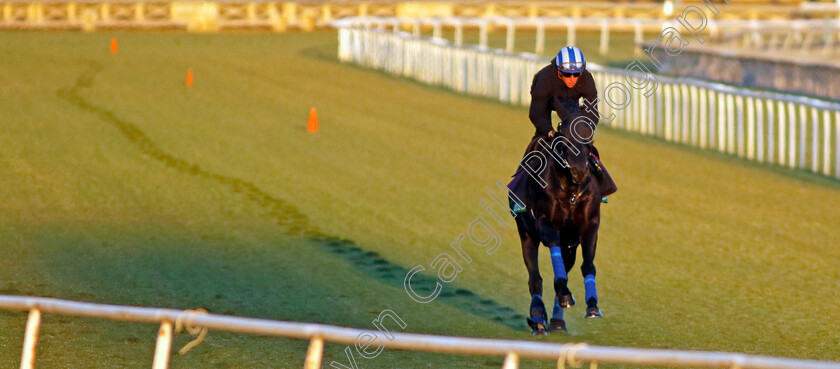 Mostahdaf-0003 
 MOSTAHDAF (Jim Crowley) training for The Breeders' Cup Turf
Santa Anita 2 Nov 2023 - Pic Steven Cargill / Racingfotos.com