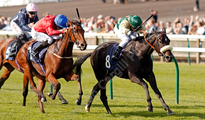 Toy-Theatre-0003 
 TOY THEATRE (right, Silvestre De Sousa) beats PARLANCE (left) in The Swynford Manor Wedding Venue Fillies Handicap Newmarket 28 Sep 2017 - Pic Steven Cargill / Racingfotos.com