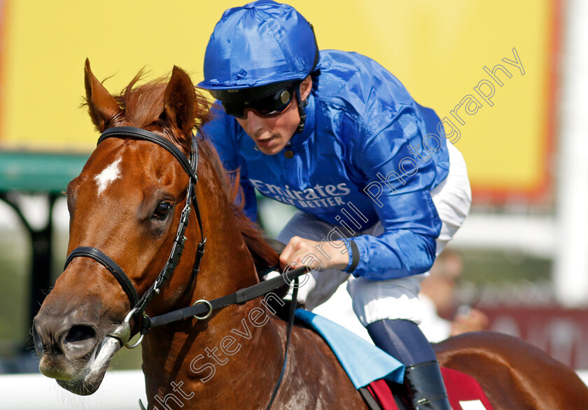 Notable-Speech-0001 
 NOTABLE SPEECH (William Buick) wins The Qatar Sussex Stakes
Goodwood 31 Jul 2024 - Pic Steven Cargill / Racingfotos.com