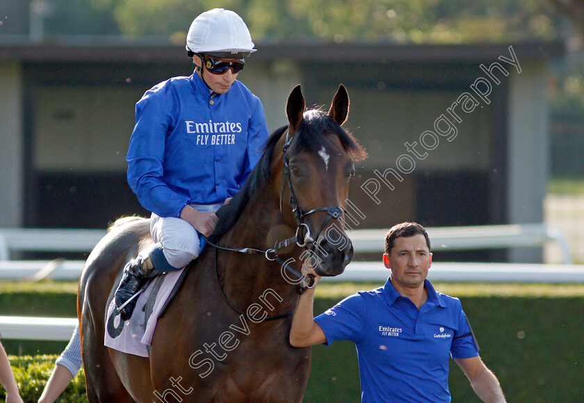 Valiant-Prince-0001 
 VALIANT PRINCE (William Buick) 
Kempton 4 Aug 2021 - Pic Steven Cargill / Racingfotos.com