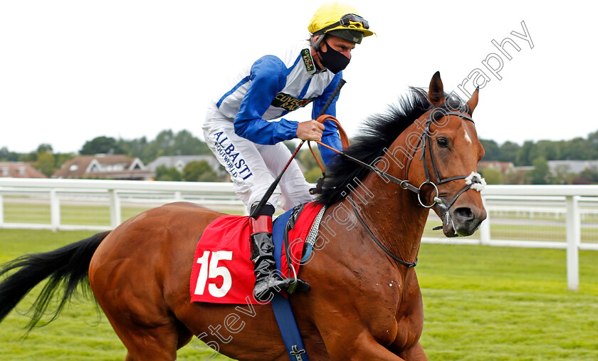 Tell em-Nowt-0001 
 TELL'EM NOWT (Adam Kirby)
Sandown 23 Aug 2020 - Pic Steven Cargill / Racingfotos.com