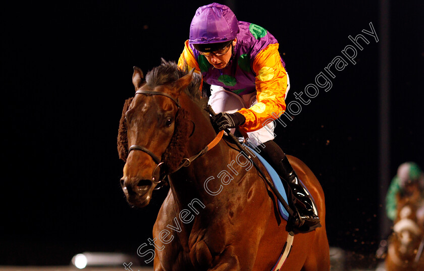 Arnarson-0005 
 ARNARSON (Martin Harley) wins The Bet Trifecta At totesport.com Handicap Chelmsford 15 Feb 2018 - Pic Steven Cargill / Racingfotos.com