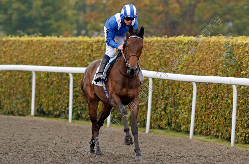 Rahaaba-0001 
 RAHAABA (Jim Crowley) Kemptom 25 Sep 2017 - Pic Steven Cargill / Racingfotos.com