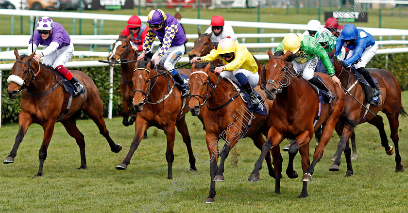 Tahitian-Prince-0001 
 TAHITIAN PRINCE (right, Sean Levey) beats DIRTY RASCAL (centre) in The 32red.com Handicap
Doncaster 28 Mar 2021 - Pic Steven Cargill / Racingfotos.com