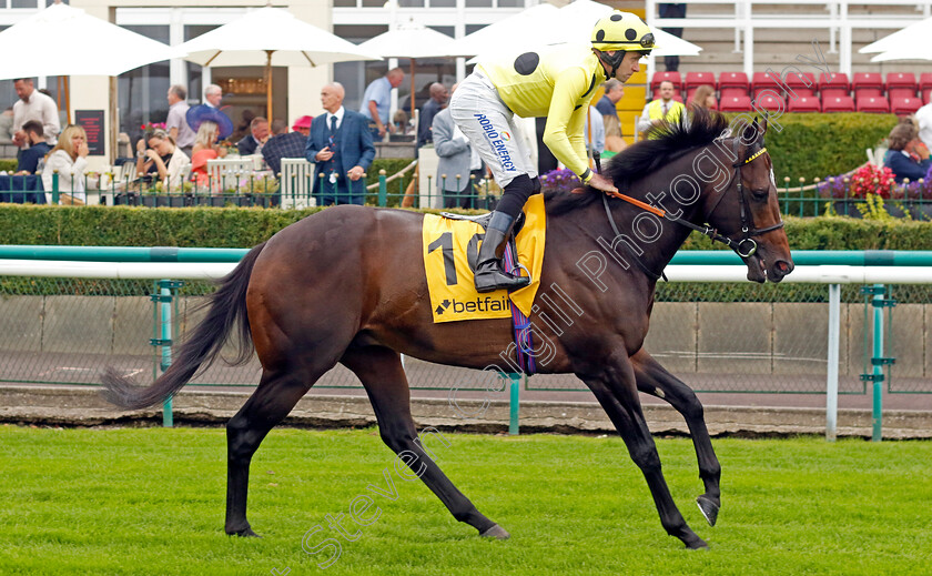 Inisherin-0001 
 INISHERIN (Tom Eaves)
Haydock 7 Sep 2024 - Pic Steven Cargill / Racingfotos.com