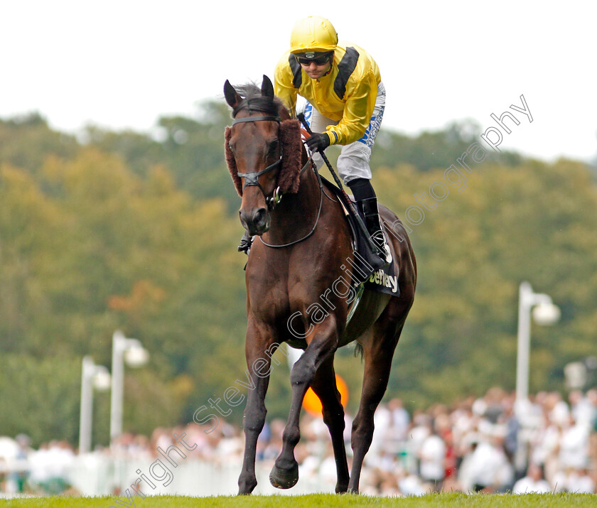 Country-0001 
 COUNTRY (Liam Jones)
Sandown 31 Aug 2019 - Pic Steven Cargill / Racingfotos.com