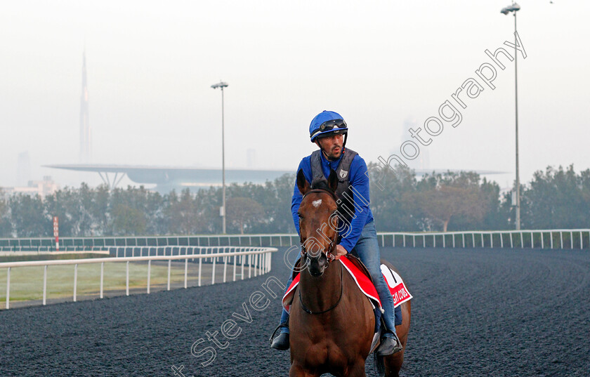 Magny-Cours-0001 
 MAGNY COURS training for the Dubai World Cup
Meydan, Dubai, 22 Mar 2022 - Pic Steven Cargill / Racingfotos.com