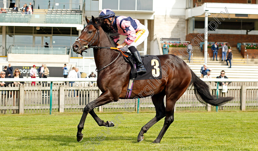 Fully-Deployed-0001 
 FULLY DEPLOYED (Neil Callan)
Newmarket 22 Sep 2022 - Pic Steven Cargill / Racingfotos.com