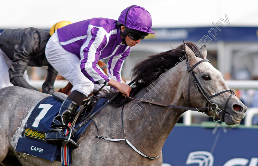 Capri-0013 
 CAPRI (Ryan Moore) wins The William Hill St Leger Doncaster 16 Sep 2017 - Pic Steven Cargill / Racingfotos.com