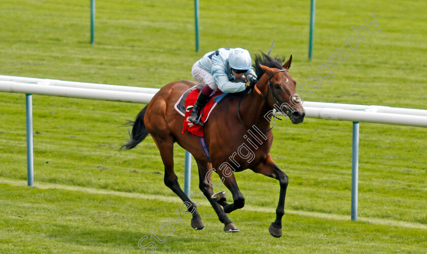 English-Oak-0002 
 ENGLISH OAK (Oisin Murphy) wins The Betfred Hattrick Heaven New Boston Handicap
Haydock 25 May 2024 - Pic Steven Cargill / Racingfotos.com