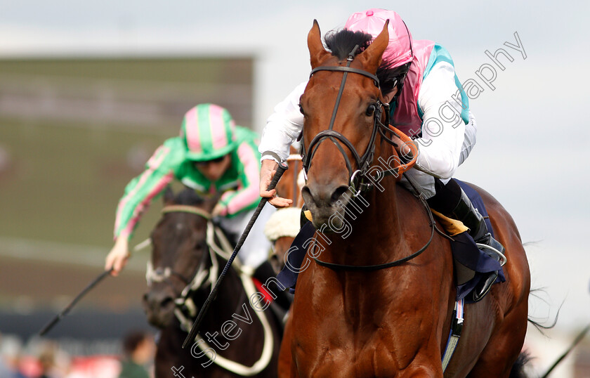 Sangarius-0009 
 SANGARIUS (Ryan Moore) wins The Weatherbys Global Stallions App Flying Scotsman Stakes
Doncaster 14 Sep 2018 - Pic Steven Cargill / Racingfotos.com