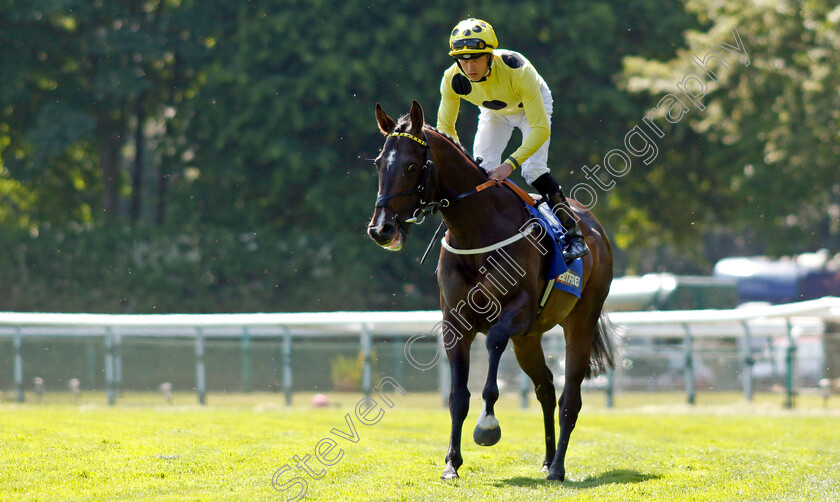 Cold-Case-0002 
 COLD CASE (Clifford Lee)
Haydock 27 May 2023 - Pic Steven Cargill / Racingfotos.com