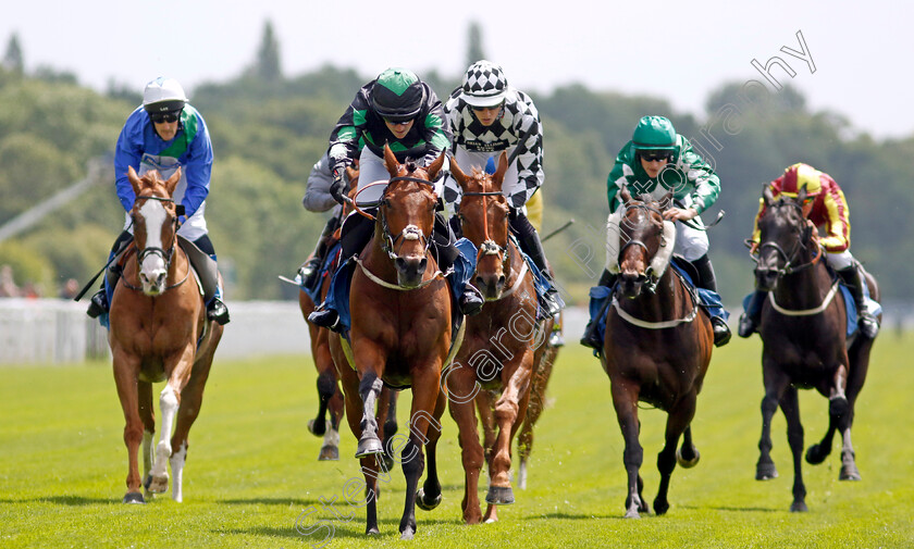 Sagauteur-0004 
 SAGAUTEUR (Matthew Ennis) wins The Constant Security Gentlemen Amateur Riders Handicap
York 10 Jun 2022 - Pic Steven Cargill / Racingfotos.com