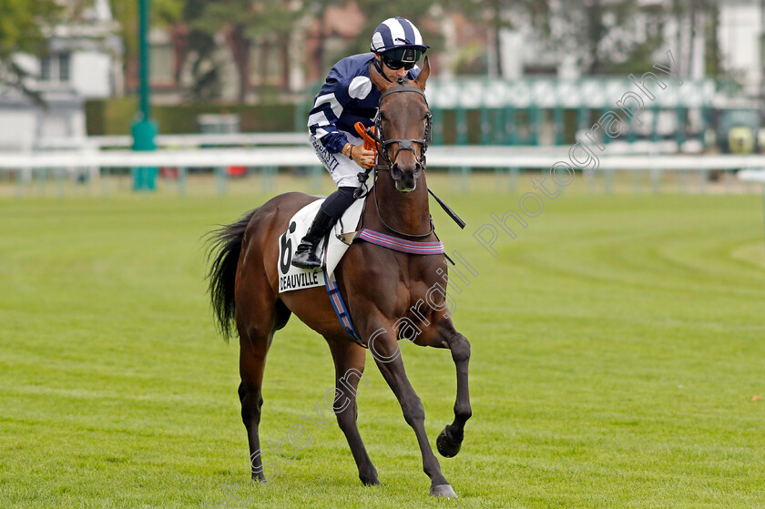 Maw-Lam-0002 
 MAW LAM (A Pouchin)
Deauville 3 Aug 2024 - Pic Steven Cargill / Racingfotos.com