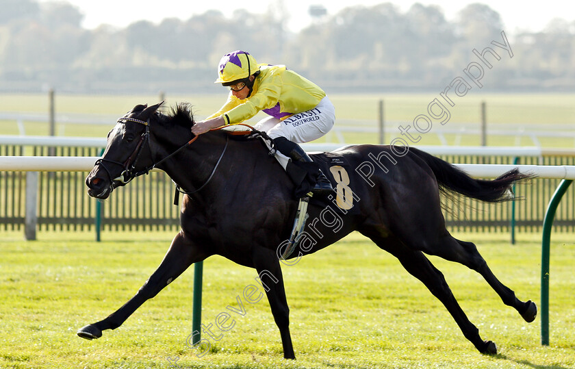 Rainbow-Heart-0005 
 RAINBOW HEART (Ryan Moore) wins The Shepherd Compello & EPG Fillies Novice Median Auction Stakes Div1
Newmarket 24 Oct 2018 - Pic Steven Cargill / Racingfotos.com