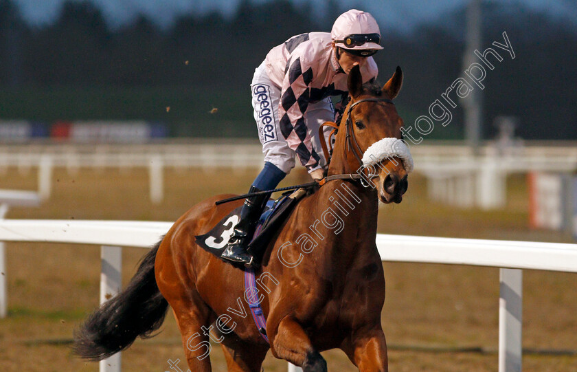 Rodin-0002 
 RODIN (David Probert)
Chelmsford 11 Jan 2020 - Pic Steven Cargill / Racingfotos.com