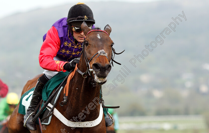 Sunshade-0005 
 SUNSHADE (Nico de Boinville) wins The Catesby Estates PLC Mares Handicap Hurdle
Cheltenham 18 Apr 2019 - Pic Steven Cargill / Racingfotos.com