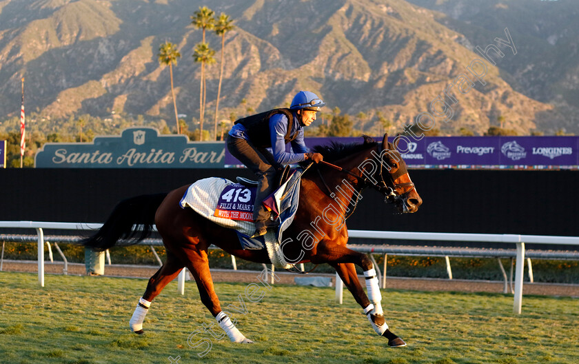 With-The-Moonlight-0001 
 WITH THE MOONLIGHT training for the Breeders' Cup Filly & Mare Turf
Santa Anita USA, 1 Nov 2023 - Pic Steven Cargill / Racingfotos.com