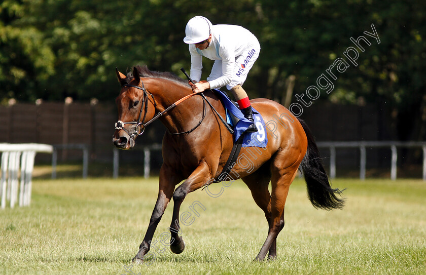 Shenanigans-0001 
 SHENANIGANS (Andrea Atzeni)
Pontefract 10 Jul 2018 - Pic Steven Cargill / Racingfotos.com