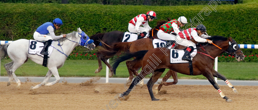 Game-Time-0004 
 GAME TIME (Sandro Paiva) wins The Lincoln Race for purebred arabians
Meydan 2 Feb 2024 - Pic Steven Cargill / Racingfotos.com