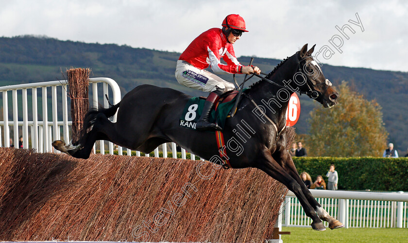 Foxtail-Hill-0003 
 FOXTAIL HILL (Sam Twiston-Davies) wins The Randox Health Handicap Chase Cheltenham 28 oct 2017 - Pic Steven Cargill / Racingfotos.com