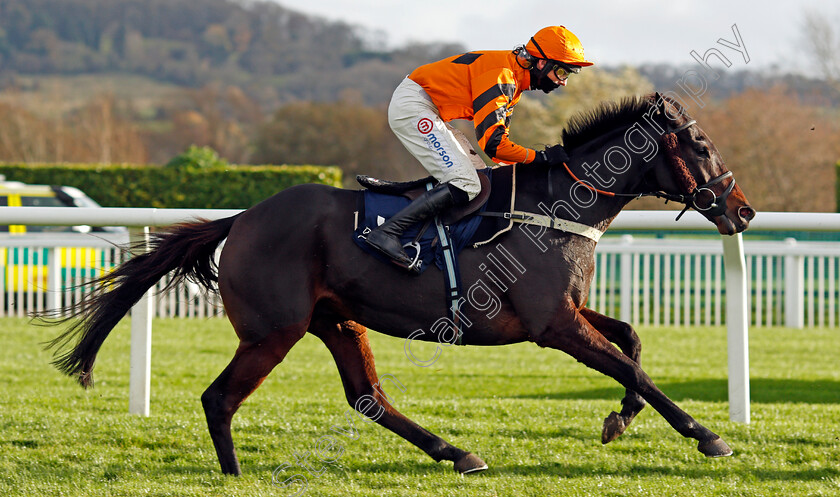 West-Approach-0001 
 WEST APPROACH (Harry Cobden)
Cheltenham 15 Nov 2020 - Pic Steven Cargill / Racingfotos.com