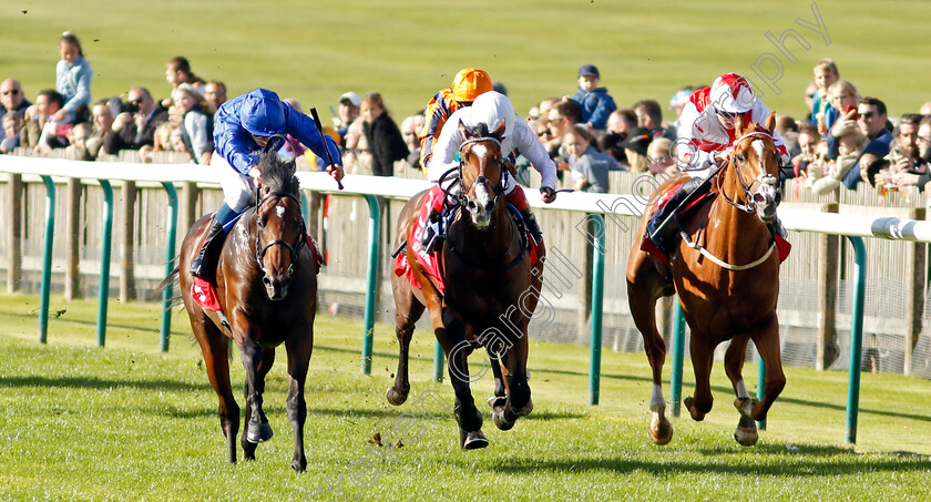 Silver-Knott-0007 
 SILVER KNOTT (left, William Buick) beats EPICTETUS (centre) and HOLLOWAY BOY (right) in The Emirates Autumn Stakes
Newmarket 8 Oct 2022 - Pic Steven Cargill / Racingfotos.com