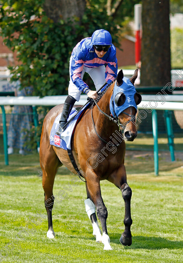 Fine-Wine-0001 
 FINE WINE (P J McDonald)
Haydock 10 Jun 2023 - Pic Steven Cargill / Racingfotos.com