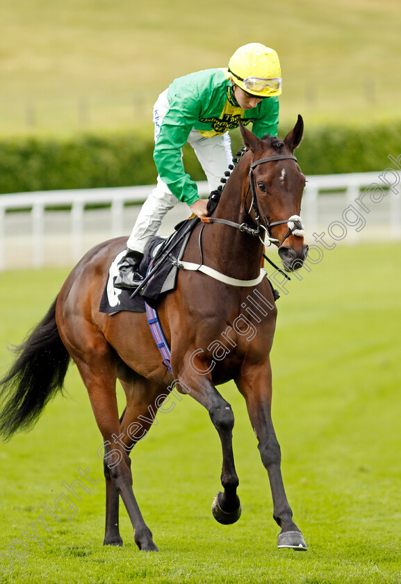 Wodeton 
 WODETON (Harry Davies)
Goodwood 20 May 2022 - Pic Steven Cargill / Racingfotos.com