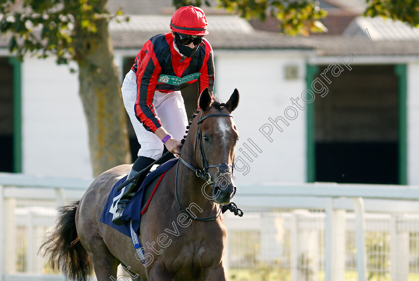 Graystone-0001 
 GRAYSTONE (Eoin Walsh)
Yarmouth 17 Sep 2020 - Pic Stevn Cargill / Racingfotos.com