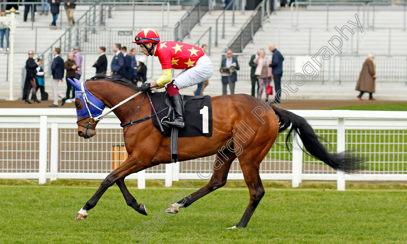 Aquacell-0001 
 AQUACELL (Sorin Moldoveanu)
Ascot 1 May 2024 - Pic Steven Cargill / Racingfotos.com