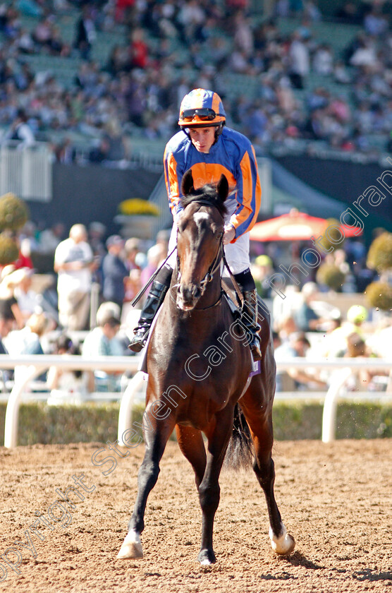 King-Neptune-0001 
 KING NEPTUNE (Ryan Moore)
Santa Anita 1 Nov 2019 - Pic Steven Cargill / Racingfotos.com