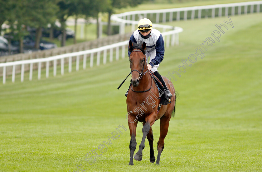 At-Liberty-0001 
 AT LIBERTY (Callum Shepherd)
Newmarket 9 Jul 2021 - Pic Steven Cargill / Racingfotos.com