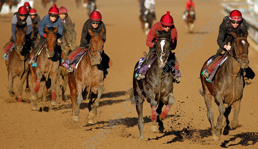 Auguste-Rodin-0004 
 AUGUSTE RODIN tracks BOLSHOI BALLET ahead of the rest of the Aidan O'Brien string training for the Breeders' Cup 
Santa Anita 2 Nov 2023 - Pic Steven Cargill / Racingfotos.com