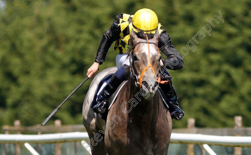 Straight-Ash-0005 
 STRAIGHT ASH (Seamus Cronin) wins The mintbet.com World Cup 1st Goalscorer 100% Boost Handicap
Brighton 3 Juj 2018 - Pic Steven Cargill / Racingfotos.com