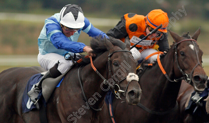 Bobby-Biscuit-0006 
 BOBBY BISCUIT (John Egan) wins The Download The Star Sports App Now! Handicap
Lingfield 3 Oct 2019 - Pic Steven Cargill / Racingfotos.com