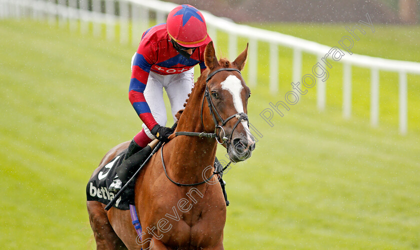 King-Vega-0001 
 KING VEGA (Oisin Murphy)
Sandown 23 Aug 2020 - Pic Steven Cargill / Racingfotos.com